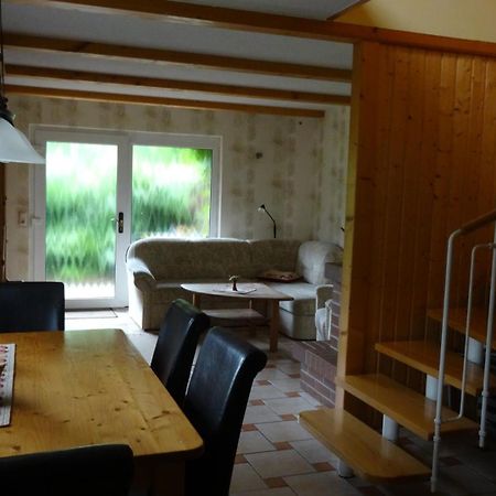 Ferienhaus Im Urigen Garten Bzw Eulenhaus ツィングシュト エクステリア 写真