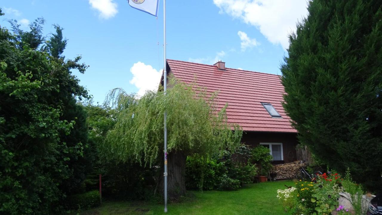 Ferienhaus Im Urigen Garten Bzw Eulenhaus ツィングシュト エクステリア 写真