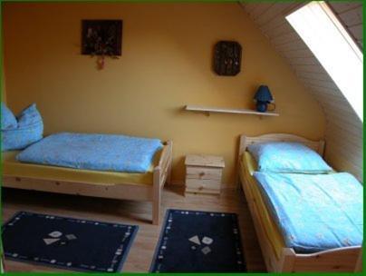 Ferienhaus Im Urigen Garten Bzw Eulenhaus ツィングシュト エクステリア 写真